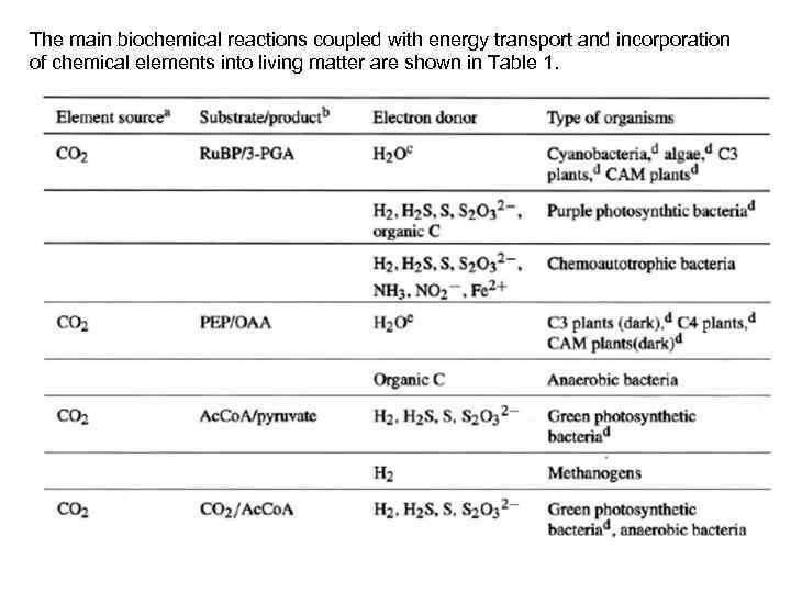 The main biochemical reactions coupled with energy transport and incorporation of chemical elements into
