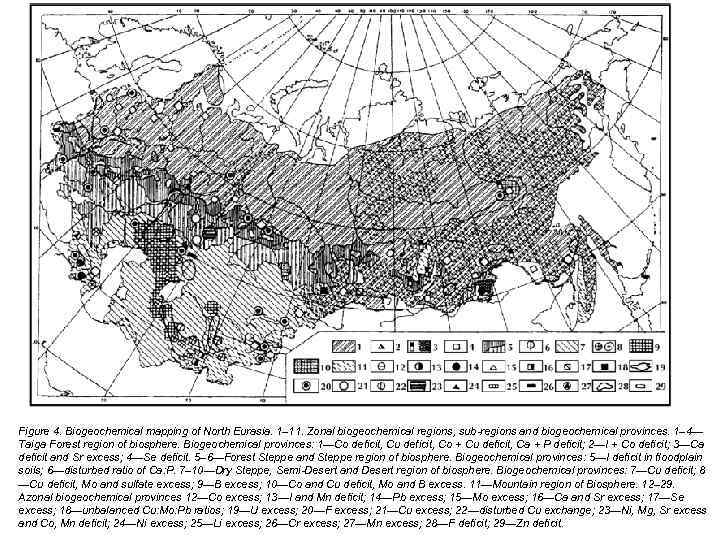 Figure 4. Biogeochemical mapping of North Eurasia. 1– 11. Zonal biogeochemical regions, sub-regions and