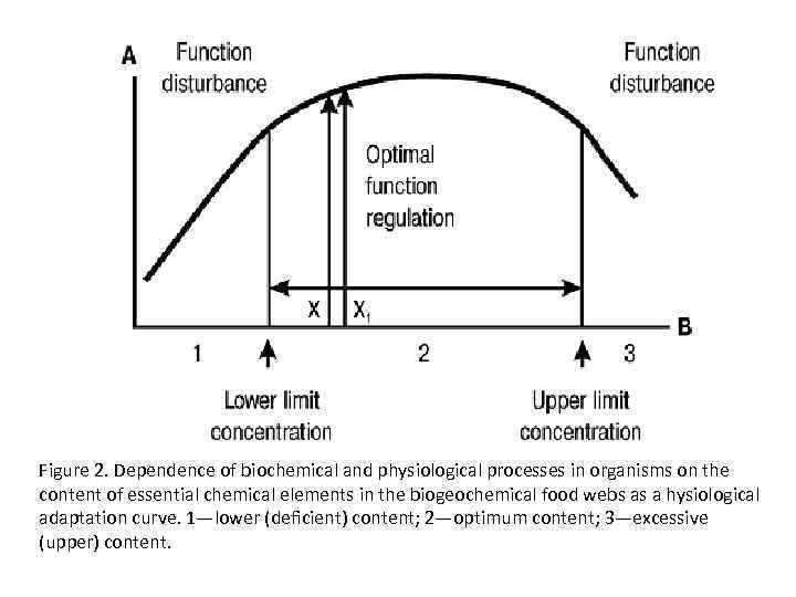 Figure 2. Dependence of biochemical and physiological processes in organisms on the content of