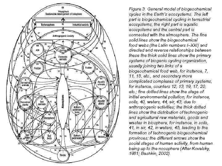 Figure 3. General model of biogeochemical cycles in the Earth’s ecosystems. The left part