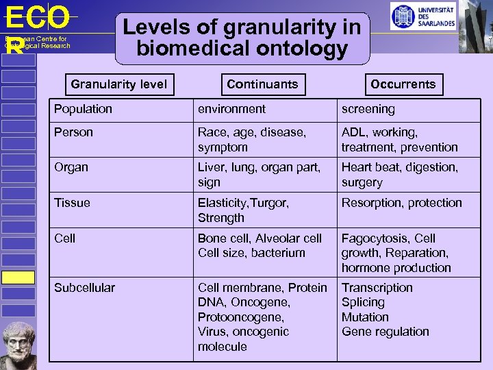 ECO R Levels of granularity in biomedical ontology European Centre for Ontological Research Granularity