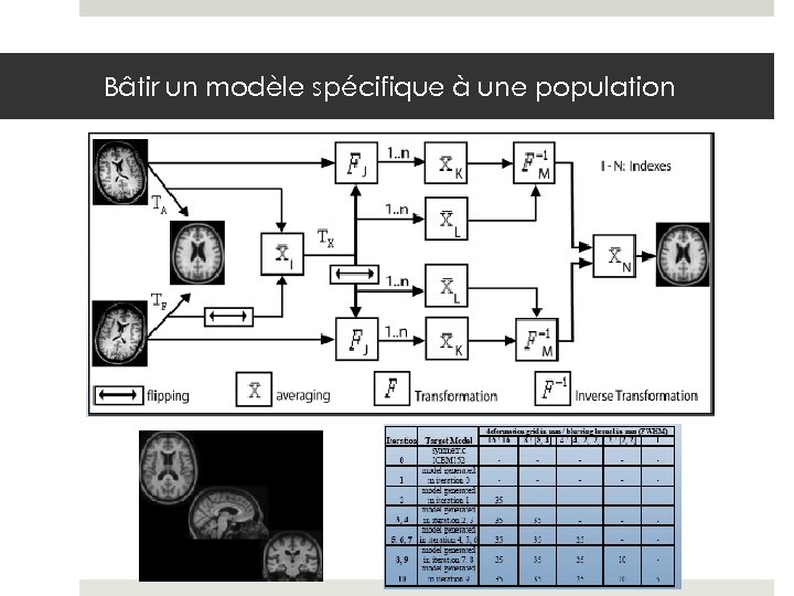 Bâtir un modèle spécifique à une population 