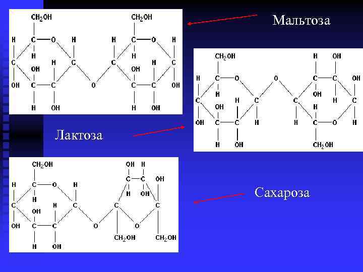Мальтоза Лактоза Сахароза 