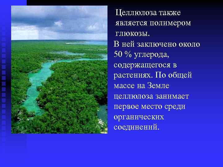Целлюлоза также является полимером глюкозы. В ней заключено около 50 % углерода, содержащегося в