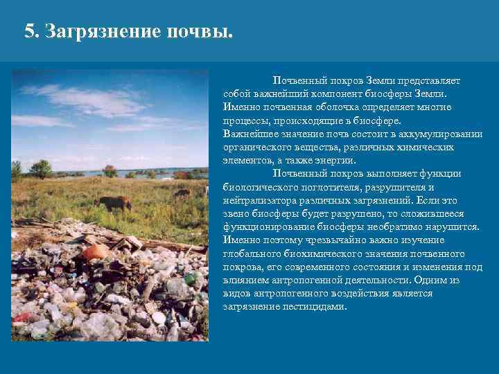 5. Загрязнение почвы. Почвенный покров Земли представляет собой важнейший компонент биосферы Земли. Именно почвенная