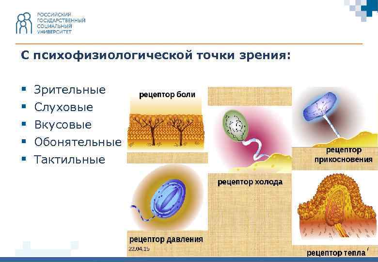 Зрительное опознавание изображений с усиленными признаками