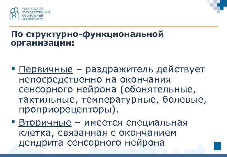 По структурно-функциональной организации: § Первичные – раздражитель действует непосредственно на окончания сенсорного нейрона (обонятельные,