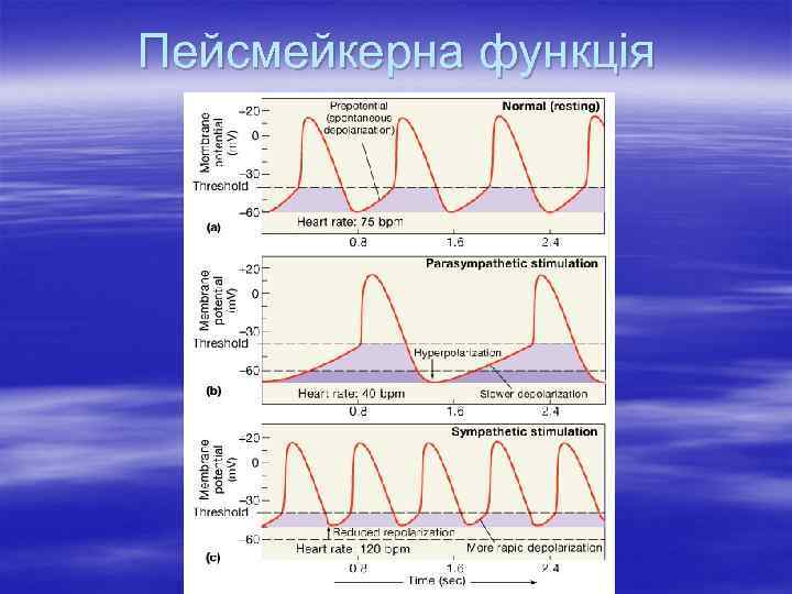Пейсмейкерна функція 