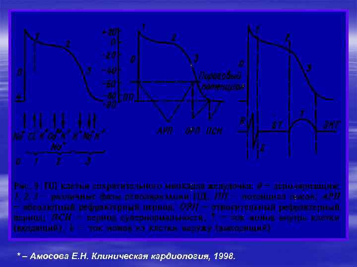 * – Амосова Е. Н. Клиническая кардиология, 1998. 