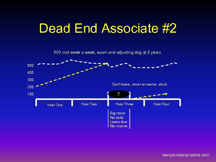 Dead End Associate #2 500 visit week a week, exam and adjusting dog at