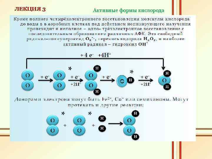 ЛЕКЦИЯ 3 Активные формы кислорода 