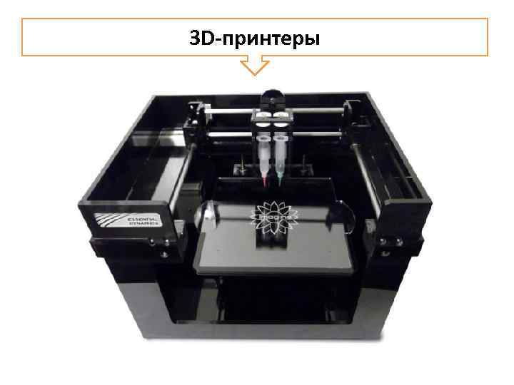 3 D-принтеры 