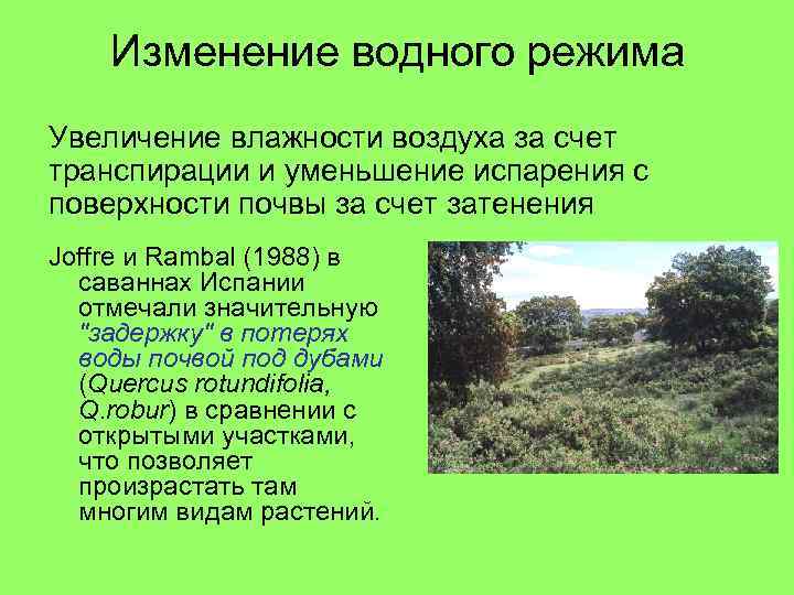 Изменение водного режима Увеличение влажности воздуха за счет транспирации и уменьшение испарения с поверхности