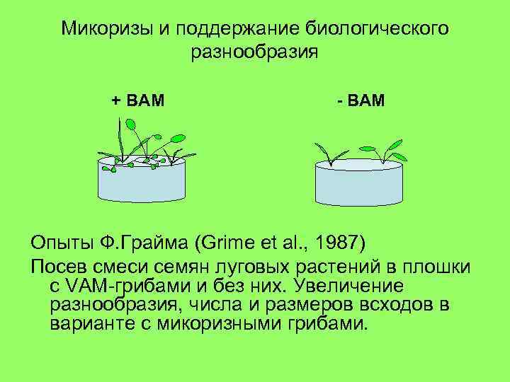 Микоризы и поддержание биологического разнообразия + ВАМ - ВАМ Опыты Ф. Грайма (Grime et