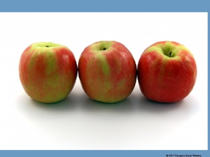 © 2007 Thomson South-Western 