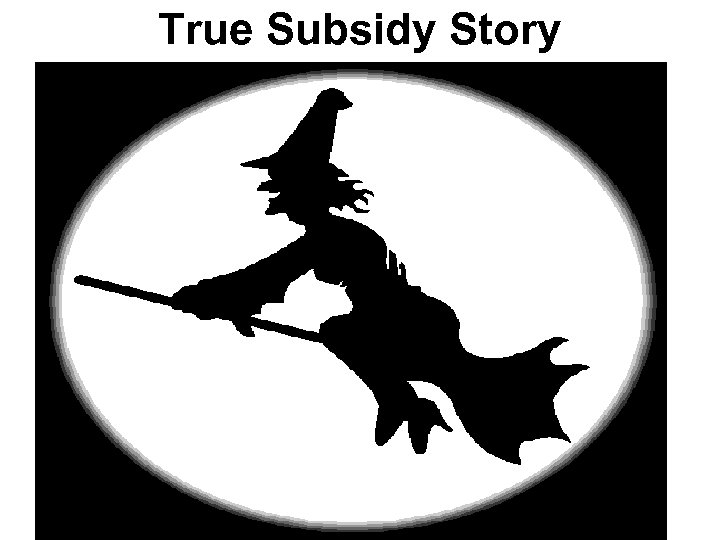 True Subsidy Story • Tax authorities in the Netherlands agreed to provide an education