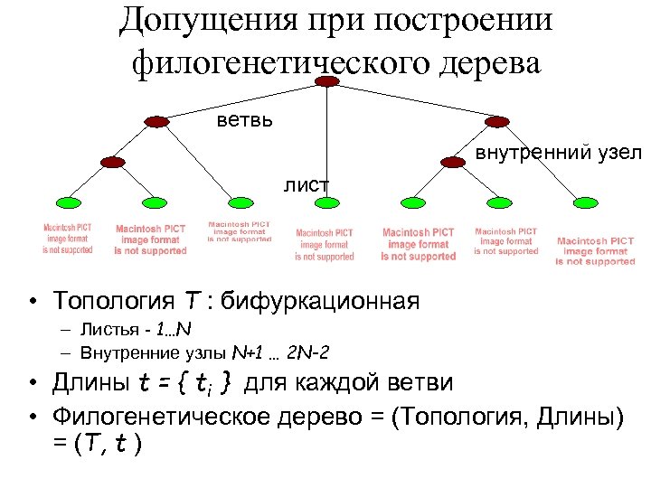 Матрица аминокислотных замен рам 250