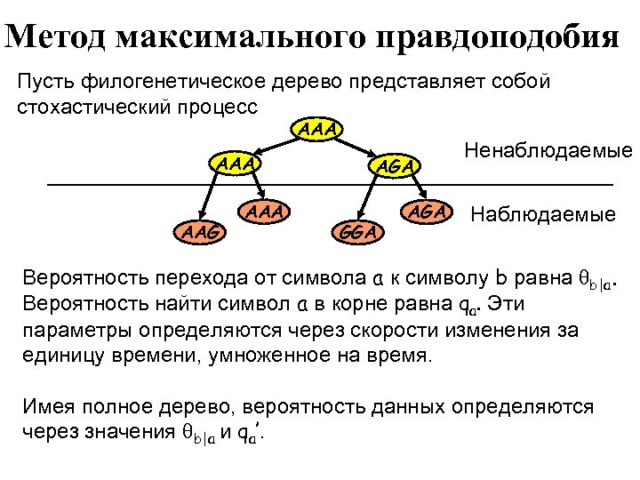 Эволюционный метод моделирования. Метод максимального правдоподобия. Определите нуклеотидную последовательность. Методы определения нуклеотидной последовательности. Метод максимального правдоподобия устойчивости предприятий.