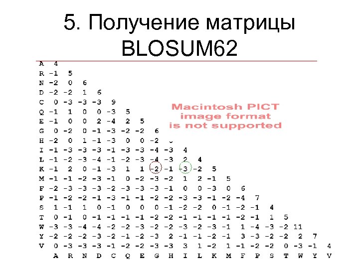 5. Получение матрицы BLOSUM 62 