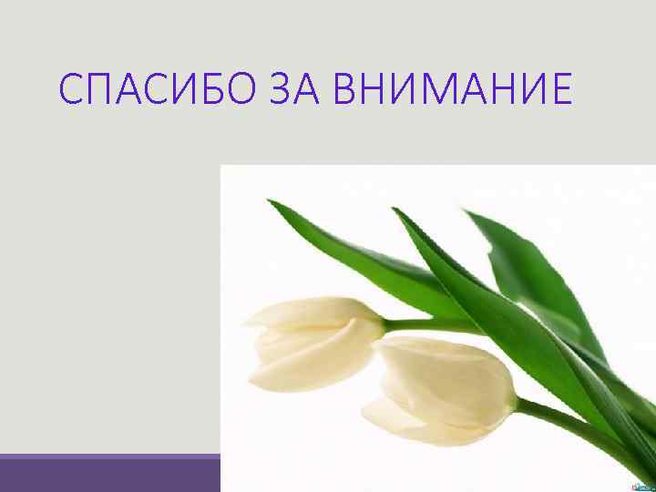 СПАСИБО ЗА ВНИМАНИЕ 