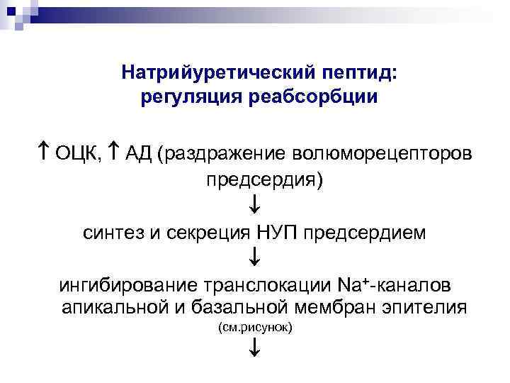 Натрийуретический пептид мозга