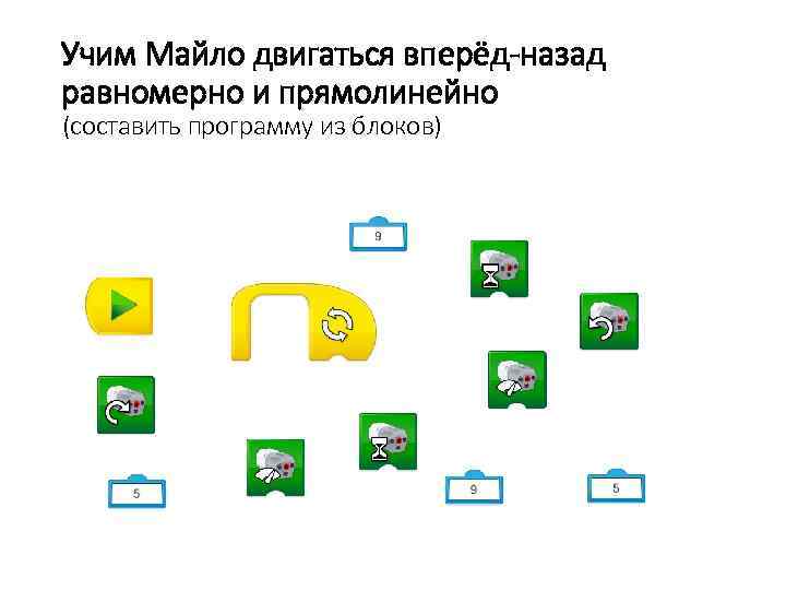 Учим Майло двигаться вперёд-назад равномерно и прямолинейно (составить программу из блоков) 