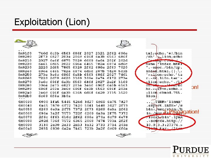 Exploitation (Lion) 1: Probing 2: Exploitation! 3: Propagation! 