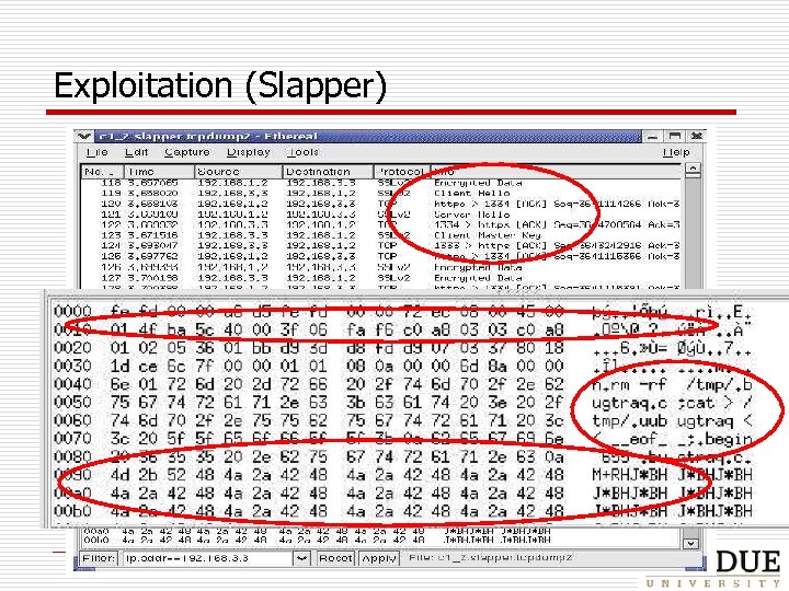 Exploitation (Slapper) 1: Probing 2: Exploitation! 3: Propagation! 