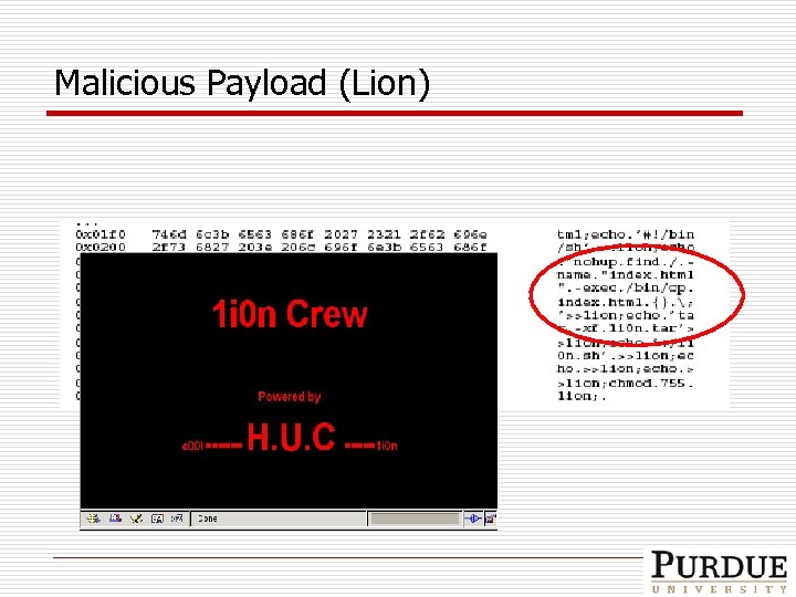 Malicious Payload (Lion) 