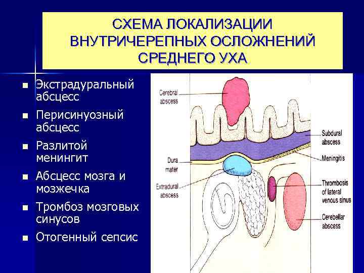 Абсцесс мочки уха фото