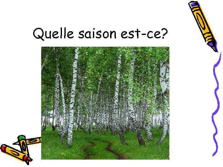 Quelle saison est-ce? 