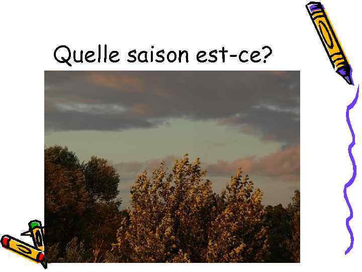 Quelle saison est-ce? 