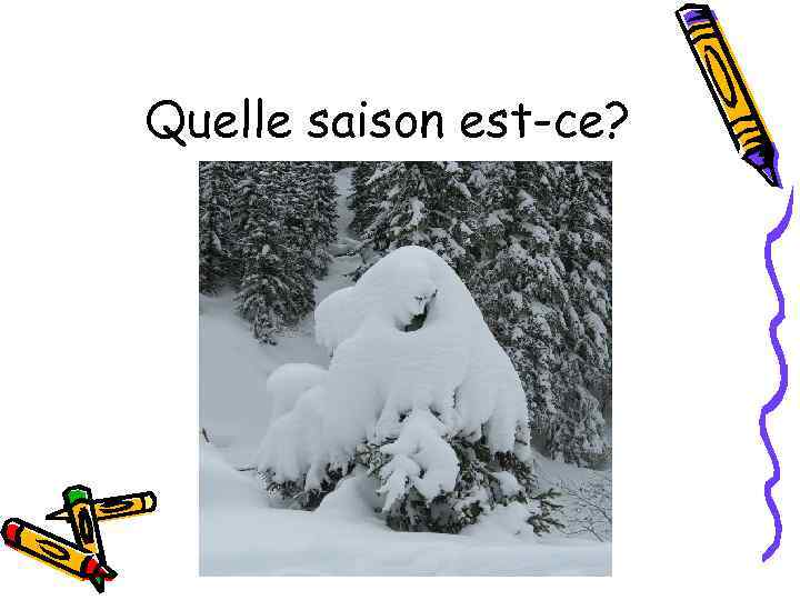 Quelle saison est-ce? 