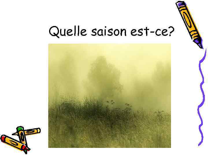 Quelle saison est-ce? 