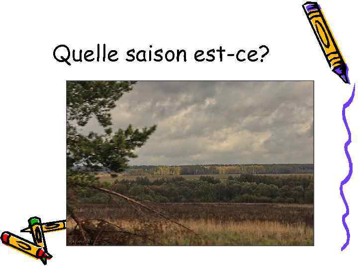 Quelle saison est-ce? 