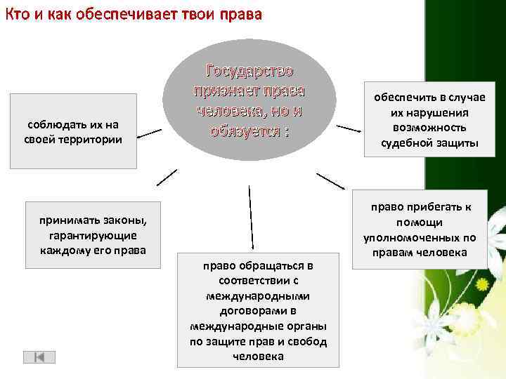 Кто и как обеспечивает твои права соблюдать их на своей территории принимать законы, гарантирующие