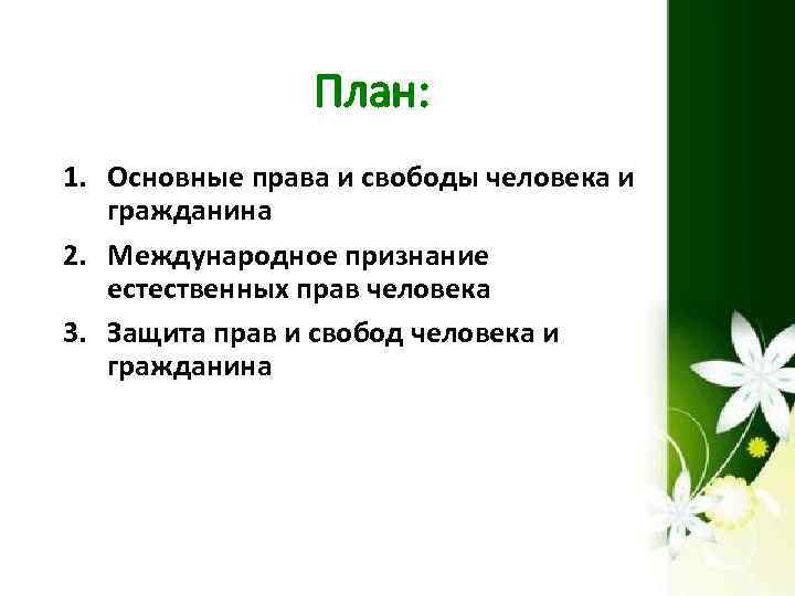 План: 1. Основные права и свободы человека и гражданина 2. Международное признание естественных прав