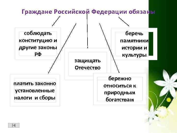 Граждане Российской Федерации обязаны соблюдать конституцию и другие законы РФ платить законно установленные налоги