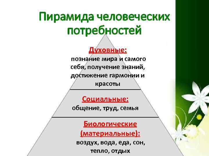 Пирамида человеческих потребностей Духовные: познание мира и самого себя, получение знаний, достижение гармонии и