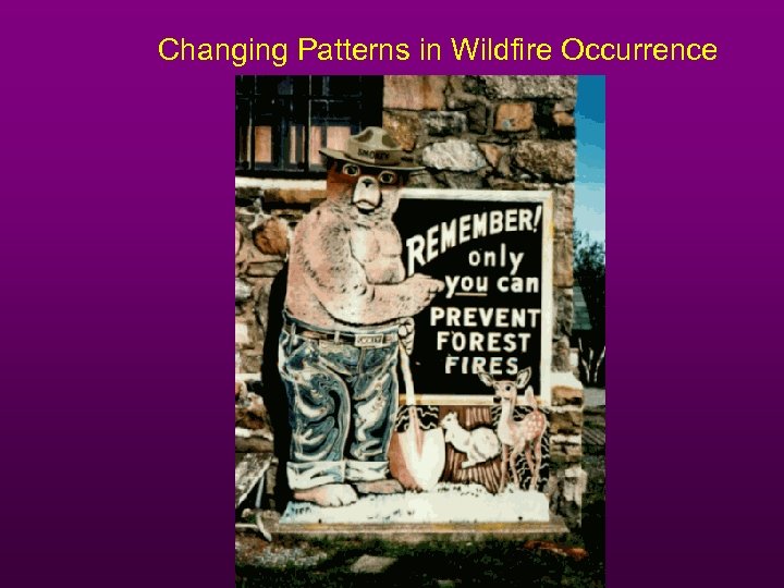 Changing Patterns in Wildfire Occurrence 