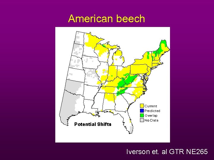 American beech Iverson et. al GTR NE 265 
