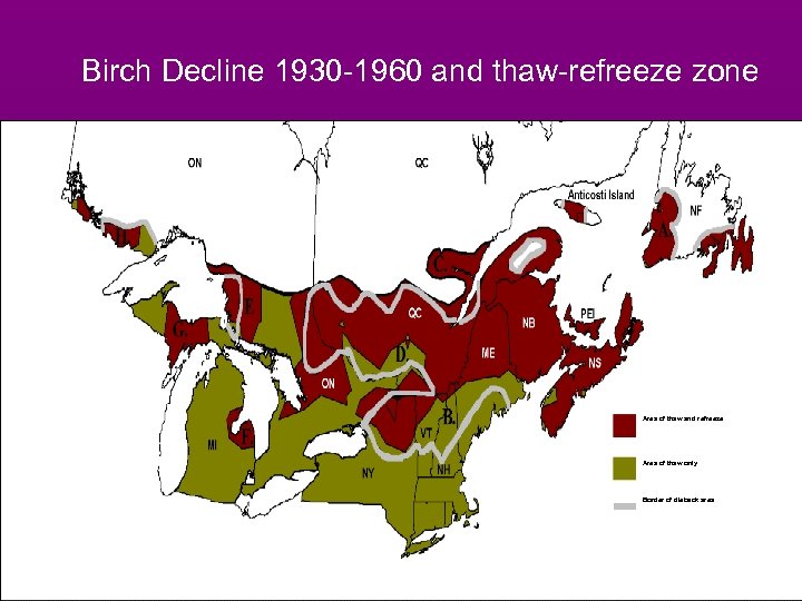 Birch Decline 1930 -1960 and thaw-refreeze zone Area of thaw and refreeze Area of