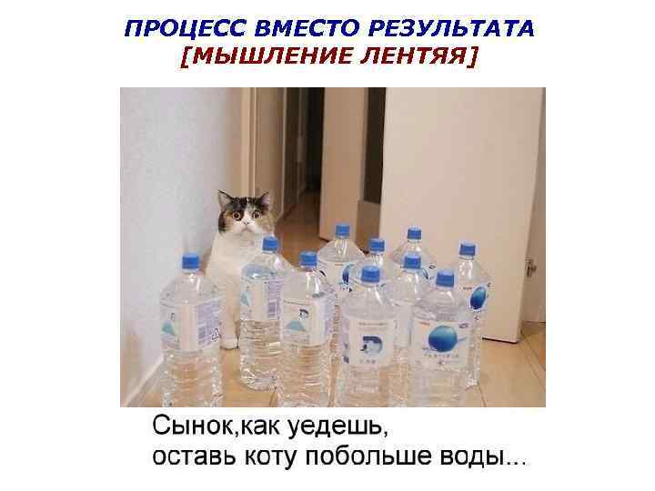 Оставь коту побольше воды картинка