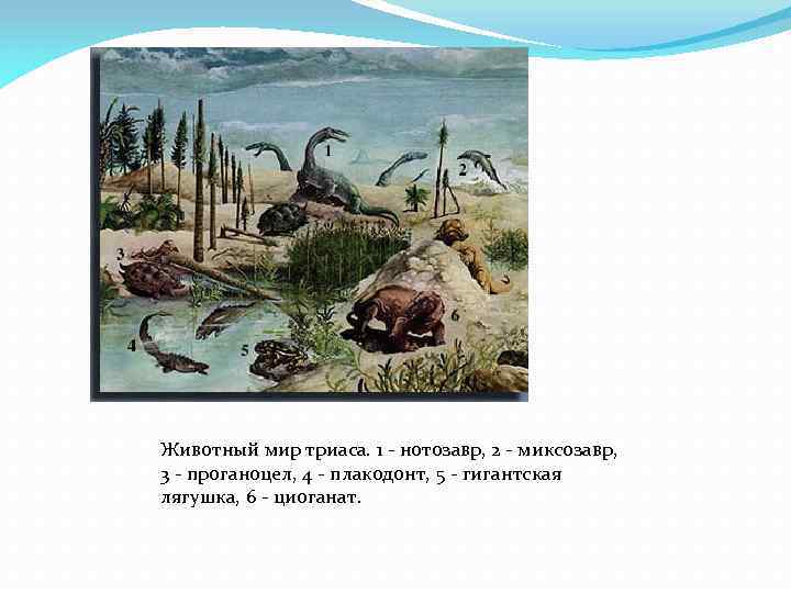 Животный мир триаса. 1 - нотозавр, 2 - миксозавр, 3 - проганоцел, 4 -