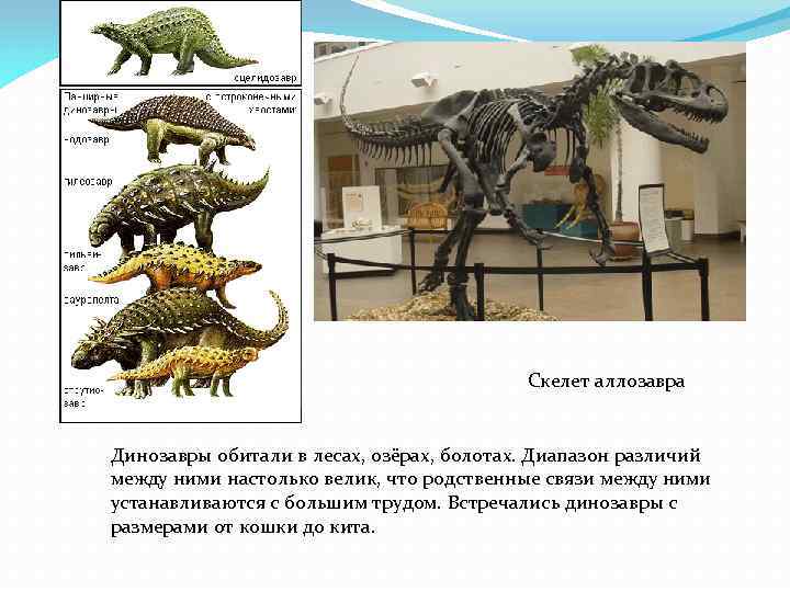 Отметь на схеме промежуток времени в течение которого на земле обитали динозавры