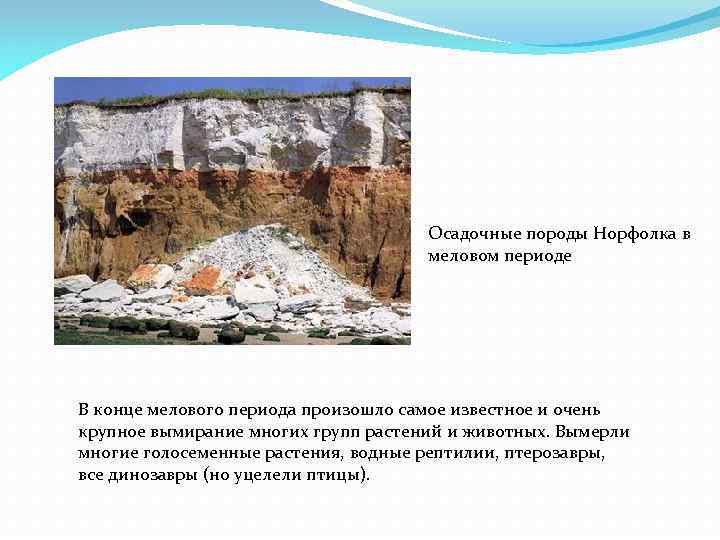 Осадочные породы Норфолка в меловом периоде В конце мелового периода произошло самое известное и