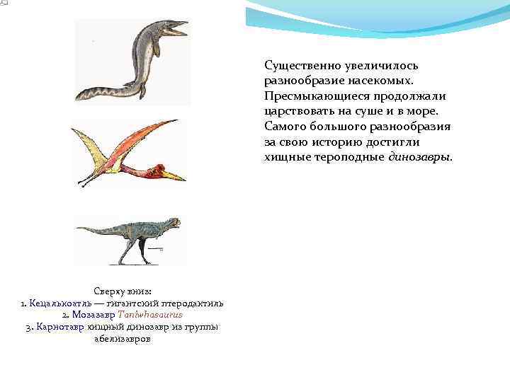 Существенно увеличилось разнообразие насекомых. Пресмыкающиеся продолжали царствовать на суше и в море. Самого большого