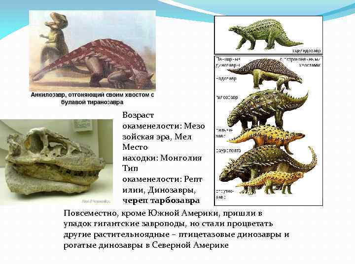 Возраст окаменелости: Мезо зойская эра, Мел Место находки: Монголия Тип окаменелости: Репт илии, Динозавры,