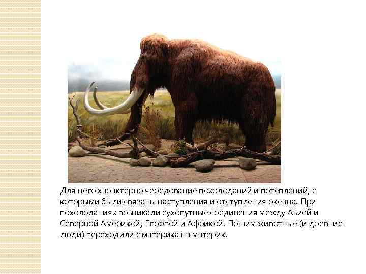 Для него характерно чередование похолоданий и потеплений, с которыми были связаны наступления и отступления