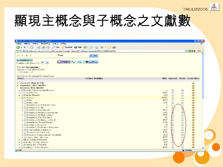 顯現主概念與子概念之文獻數 